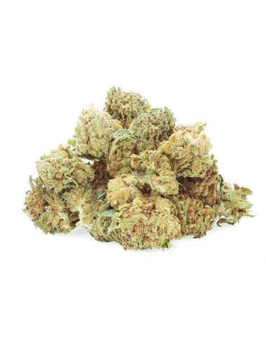 Mimosa Punch - Fiore di CBD - Easy Weed