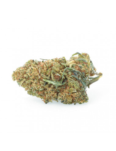 Torta alla vaniglia - NBSh Fiori - Easyweed