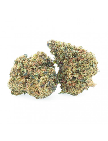 Sunset Punch - Fiori NBSh - Easyweed