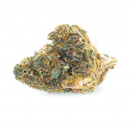 Sunset Punch - Fiori NBSh - Easyweed