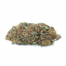 Royal OG - Fiore di CBD - Erba Facile