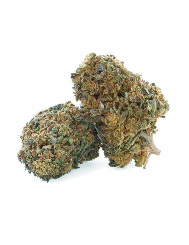 Royal OG - Fiore di CBD - Erba Facile