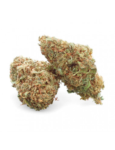 Sensei Star - Fiore di CBD - Erba facile