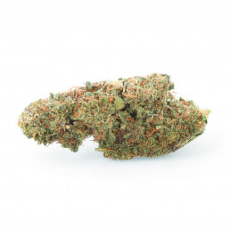 LA 49.3 - Fiore di CBD - Erba facile