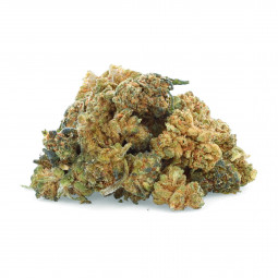 Fiori arcobaleno - NBSh - Easyweed