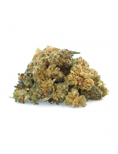 Fiori arcobaleno - NBSh - Easyweed