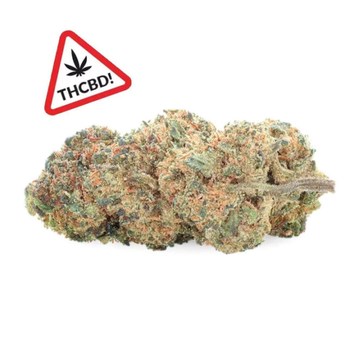 Jamaican Kush THCBD Ivory – Fiore potente e tropicale | Weedy.fr