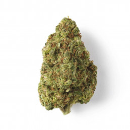 Cookie - Fleur de CBD - Easy Weed