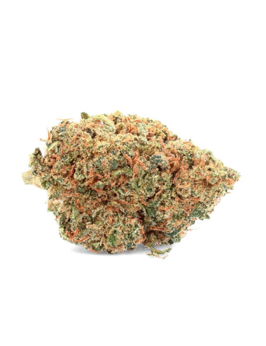 AK-47 - CBD Bloem - Ivoor