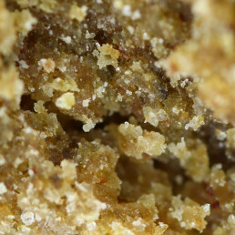 CBD-hars
