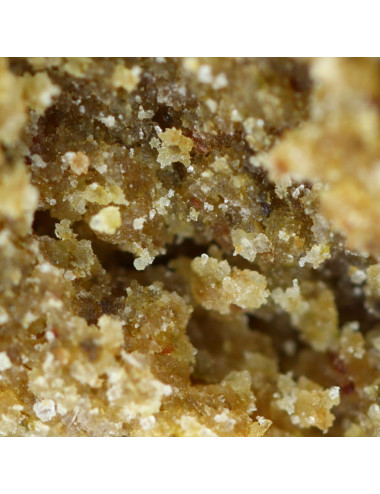 CBD-hars