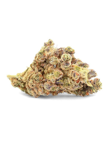 Durban Poison - CBD bloem - Ivoor