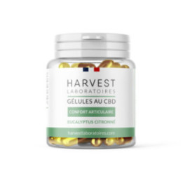 CBD-capsules voor de gewrichten: comfort & beweeglijkheid - Weedy.fr
