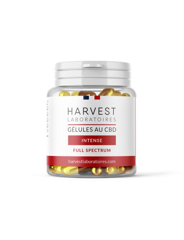 Harvest Laboratoires Cure Intense
