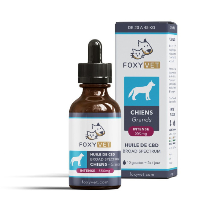 FOXYVET CBD-olie voor honden - Verbeter het welzijn van uw huisdier - Weedy.fr