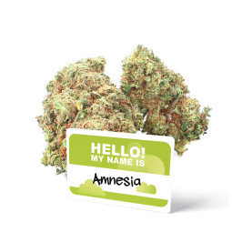 Amnesia - CBD-bloem - Ivory...