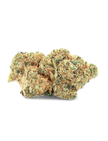 Supreme - CBD Bloem - Ivoor