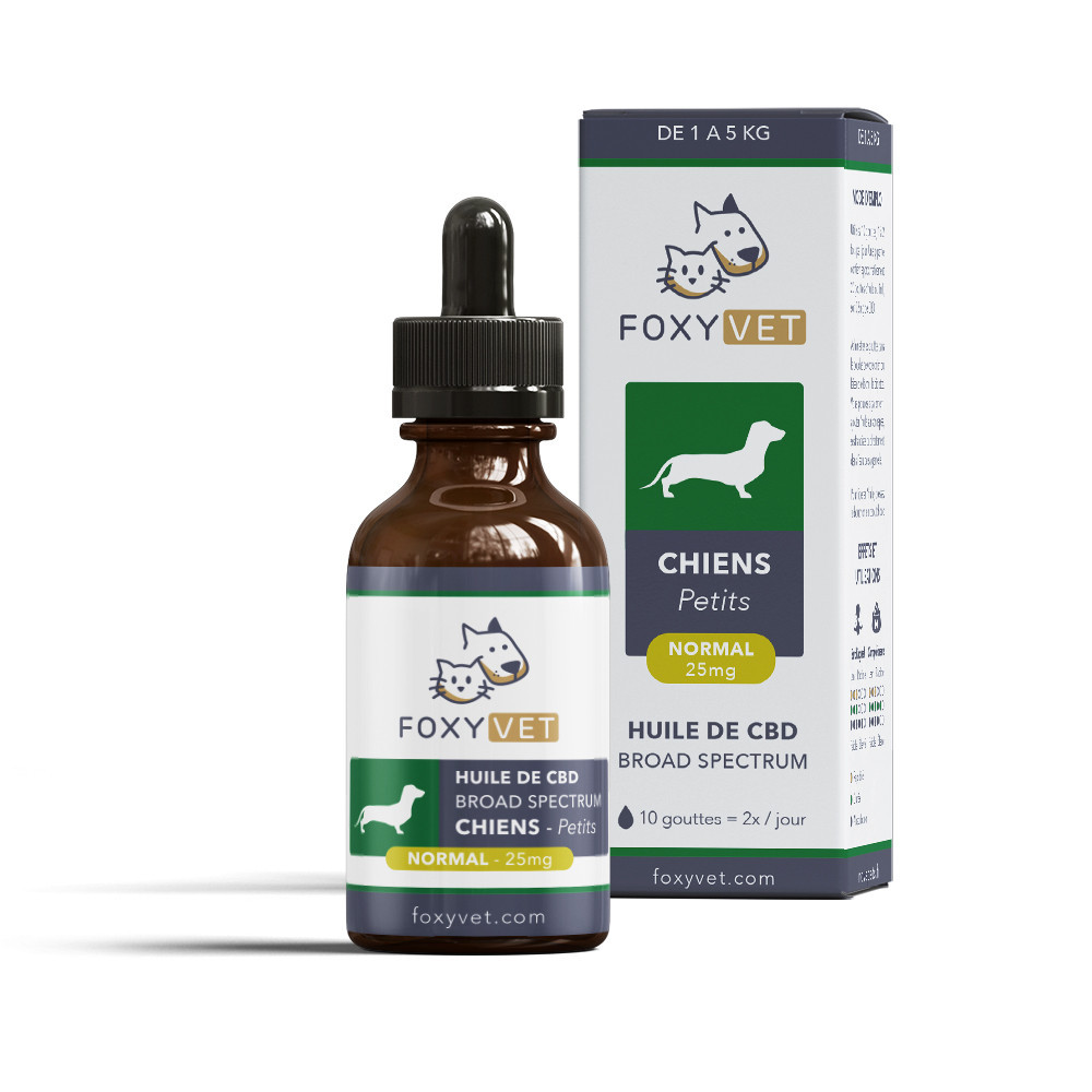 CBD voor kleine honden