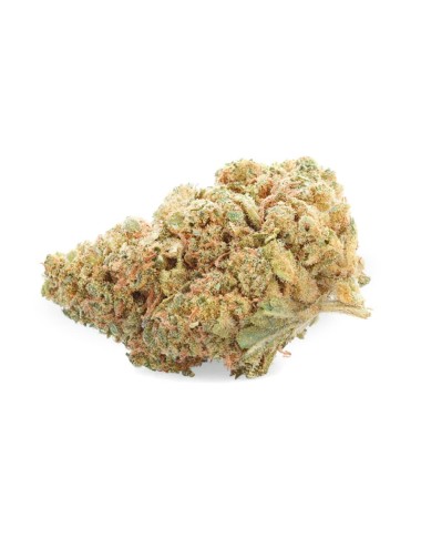 Gelato - CBD Bloem - Ivoor
