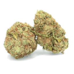 White Whale - CBD-bloem - Easy Weed