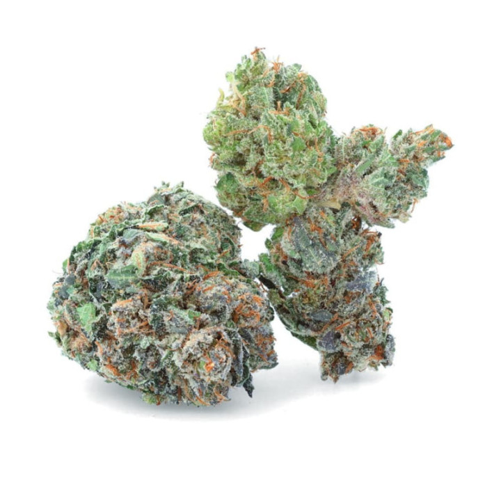 Zkittlez CBD Indoor Hydrocultuur