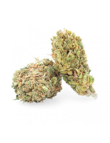 White Rhino - CBD bloem - Gemakkelijk Wiet