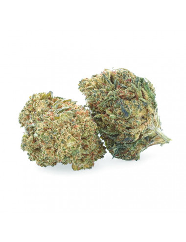 Vanillecake - NBSh Bloemen - Easyweed