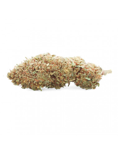 Sensei Star - CBD bloem - Gemakkelijke wiet