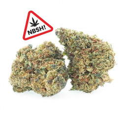 Sunset Punch - NBSh bloemen - Easyweed