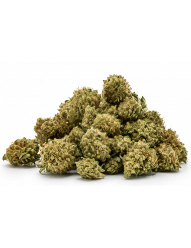 Amnesia Pops - CBD-bloem...