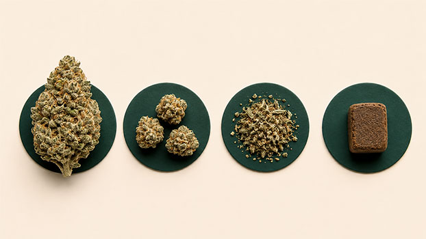 Bud entier, pop corn, trim et résine côte à côte pour comparer les calibres