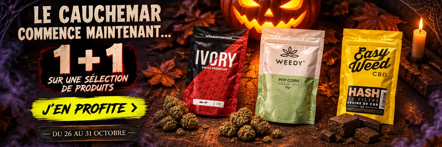 Halloween Halloween — promocja „1+1” na wybrane produkty