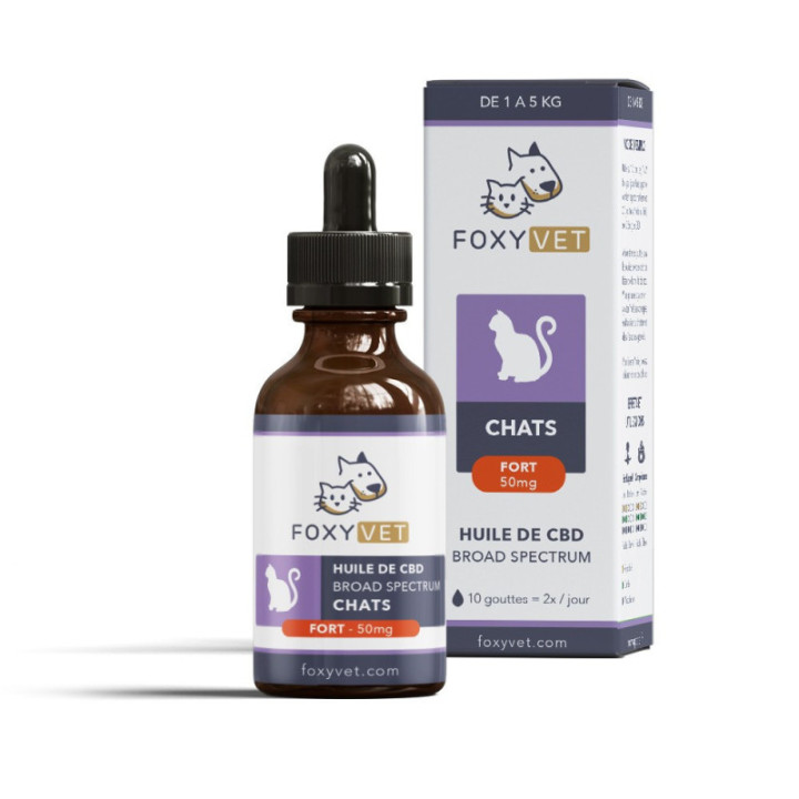 CBD para gatos