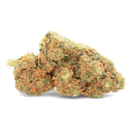 Mango Gelato - Flor de CBD - Marfim