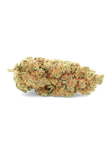 O.G Cookie - Flor de CBD -...