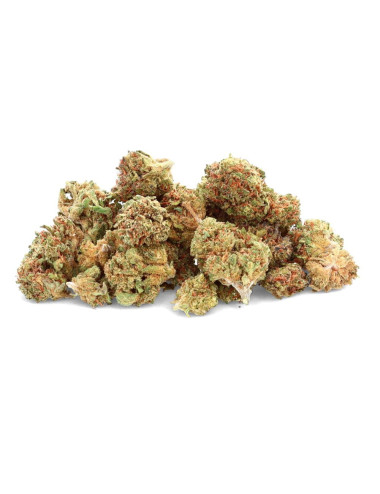O.G Kush - Flor de CBD -...