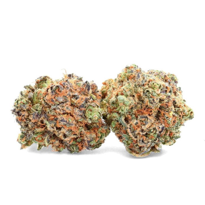 White Widow Ivory: Flor de CBD intensa e mítica - Weedy.fr