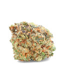 White Widow - Flor de CBD...