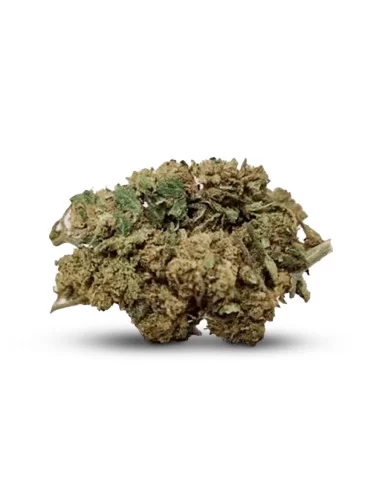 Gorilla CBD - Flor de CBD -...