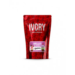 Gelato - CBD Flower - Marfim