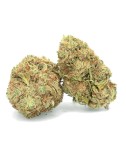 White Whale - CBD flower - Erva fácil