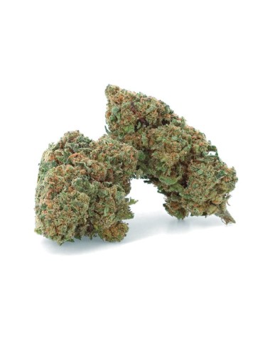 Super Lemon Haze - Flor de CBD - Erva daninha