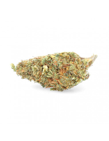 White Rhino - CBD flower - Erva fácil