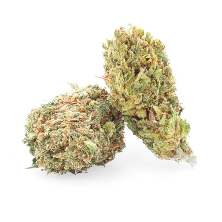 White Rhino - Flor de CBD - Easy Weed