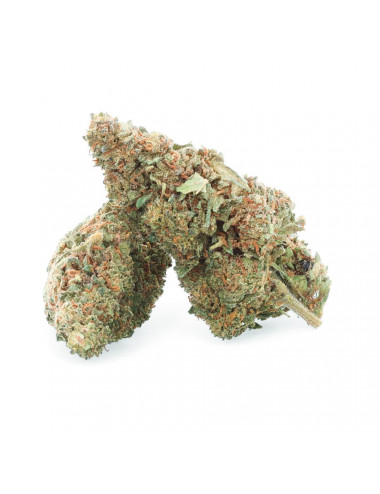 LA 49.3 - CBD Flower - Erva fácil