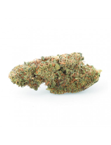 LA 49.3 - CBD Flower - Erva fácil