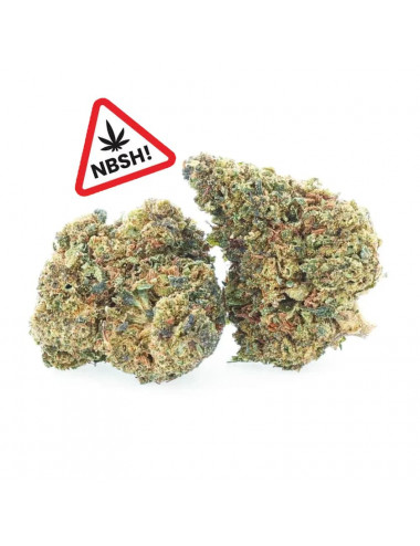 Sunset Punch - flores NBSh - Easyweed