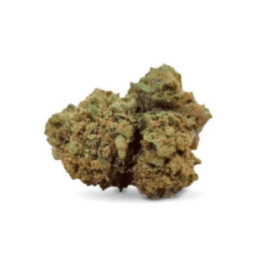 Fruit Tonic CBD cultivat în aer liber