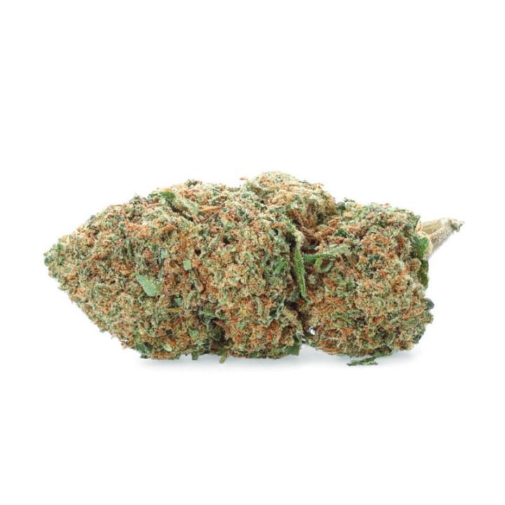 Harlequin - Fleur CBD - Weedy