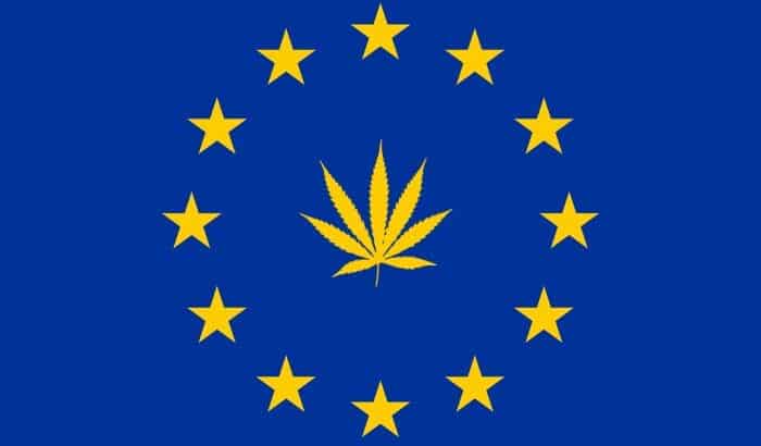 L’Union Européenne pourrait développer le secteur du Cannabis